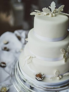 Darren and Evandro Wedding Cake